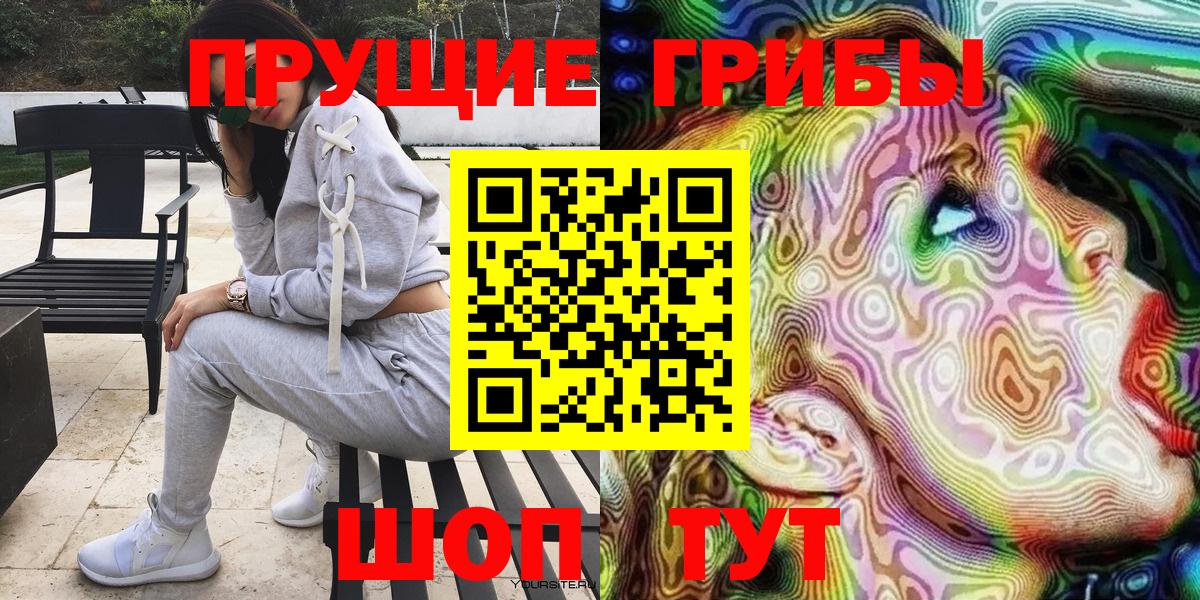 Обь  Галлюциногенные грибы Psilocybine cubensis  Вход с VPN 