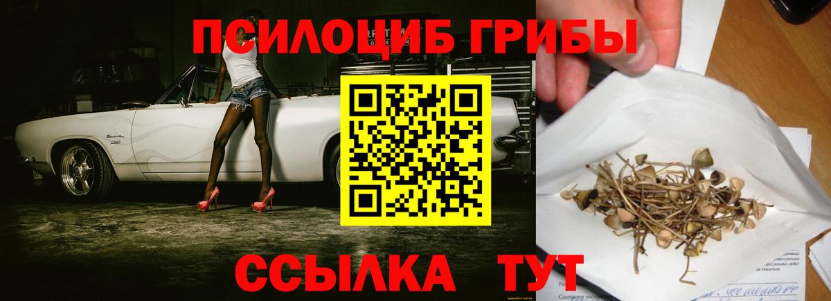 Галлюциногенные грибы мухоморы Обь
