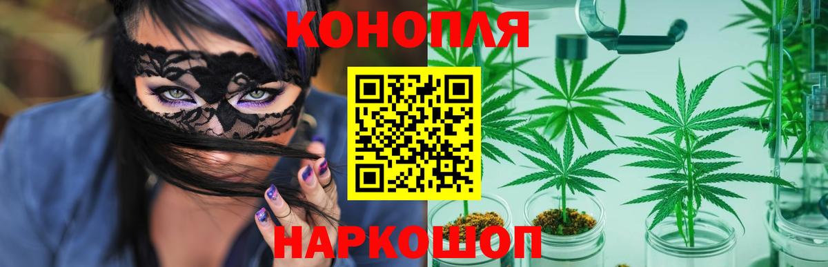 Бошки Шишки планчик Обь